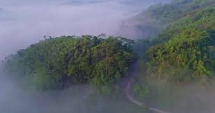 Panoramic view of rolling hills with morning mist in valleys